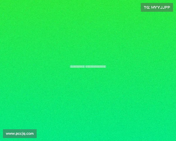 纽卡与莱比锡谈判推进 谢什科愿意加盟英超展开新篇章