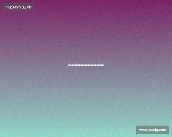 迪马济奥：罗马未能满足狼队对法比奥席尔瓦的转会要价