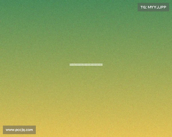 莱比锡有意引进中日德兰球员弗兰库利诺朱加强阵容