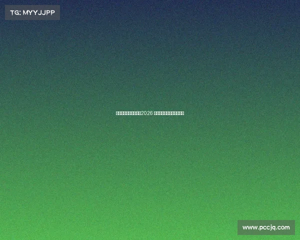 美国队的远大愿景超越2026 聚焦更长远的全球足球目标